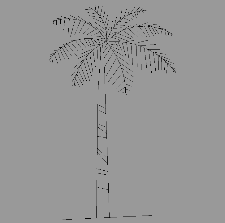Bloque Autocad Vista de Palmera 11 en Alzado